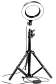 Pazariz Led Tripod Işıklı Telefon Tutucu Makyaj Işığı Ring Light 10 Inç + 2.1 M Tripod - 2