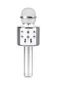 Pazariz Evr Krk 02 Karaoke Mikrofon Silver - 1
