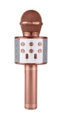 Pazariz 7817 Karaoke Mikrofonu Altın Gül - 1