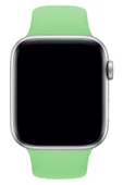 Pazariz Apple Watch Uyumlu3 4 5 6 7 8 Se 38 40 41mm Kordon Kayış Klasik Kaliteli Silikon thumbnail 3