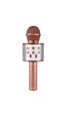 Pazariz Karaoke Mikrofonlu Hoparlör - Şarjlı -bluetooth Rose Gold - 1