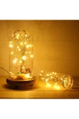 Pazariz Peri Led Işık 10 Metre Gün Işığı Dekor Lambası 100 Ledli thumbnail 2