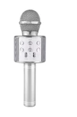 Pazariz Karaoke Mikrofon Dahili Hoparlörlü Usb Flash Destekli - 1