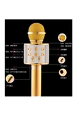 Pazariz Karaoke Mikrofon Bluetooth Hoparlör Usb Giriş - 1