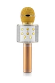 Pazariz Platoon Pl-2462 Bluetooth Karaoke Mikrofon Sd-usb Gold Rengi - 1