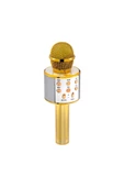 Pazariz Karaoke Mikrofon Bluetooth Hoparlör Usb-aux-sd Kart Girişli - 1