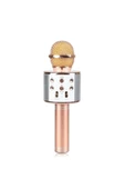 Pazariz Karaoke Mikrofon Dahili Hoparlörlü Usb Flash Destekli - 1