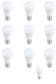 Pazariz Led Ampul 12 Watt Beyaz Işık Aydınlatma Lambası 10 Ad - 1