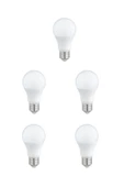 Pazariz Led Ampul 7 Watt Beyaz Işık Aydınlatma Lambası 5 Ad thumbnail 1