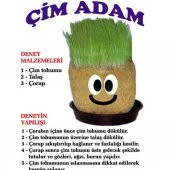 Çim Adam Yapım Seti, Çimlendirme 10 Adet, Eğitici Çim Adam, STOKTAN AYNI GÜN ÜCRETSİZ KARGO - 2