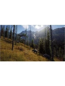 Way Of Hunter - PS5 Oyun - 4