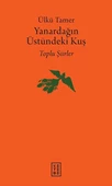 Yanardağın Üstündeki Kuş - 1