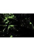 Trend Kitabevi Art Puzzle 1000 Parça Neon Son Keman 5266 - 3