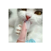 Kedi Köpek Diş Temizleme Fırçası - 4