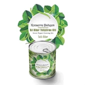 Woody Sofia Konserve Bahçem Evde Konservede Tatlı Sivri Biber Yetiştirme Kiti - 1