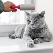 Woody Sofia Pratik Tüy Alma ve Temizleme Tüy Toplama Makinesi Rulo Aparat - 4