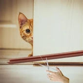 Woody Sofia 4 Adet Kapı Toz Rüzgar Önleyici Isı Yalıtımı Sağlayan Sızdırmaz Strafor - 6