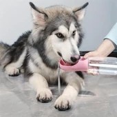 Woody Sofia Taşınabilir Evcil Hayvan Suluğu Seyahat Kabı Kilitlenebilen Su Sızdırmaz Kap 350 ml - 2