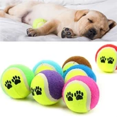 Woody Sofia  3lü Renkli Desenli Tenis Topu Kedi Köpek Oyuncağı - 5