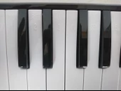 CREMONIA CR32BK MELODİKA 32 TUŞLU SİYAH RENK EVA ÇANTALI thumbnail 3