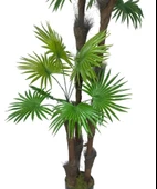 Nettenevime 5 ADET  Kurutulmuş Palmiye Ağacı Kabuğu Lifi Natural Ağaç Gövdesi Kokos thumbnail 6