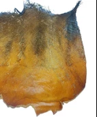 Nettenevime 5 ADET  Kurutulmuş Palmiye Ağacı Kabuğu Lifi Natural Ağaç Gövdesi Kokos thumbnail 4