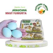 MAVİ YUMURTA - 1