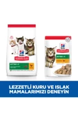 Hill's Kitten Tavuklu Yavru Kedi Maması 7 kg - 7