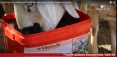 Royal İlaç Vitamolix Sheep And Goat 22,5 kg (Koyun-Keçi-Oğlak Için) - 5