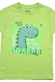 Sevimli Dinozor Baskılı Erkek Bebek Tshirt bipamuk - 8