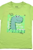 Sevimli Dinozor Baskılı Erkek Bebek Tshirt bipamuk - 4