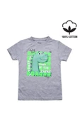 Sevimli Dinozar Baskılı Erkek Bebek Tshirt bipamuk - 5
