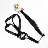 EuroDog Köpek Uz.+Göğüs Tasması Siyah 20mmx120cm - 1