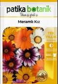 20 Adet Meramlı Kız (gazania Splendens) Çiçek Tohumu - 2