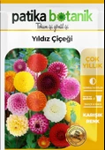 30 Adet Yıldız (dahlia) Çiçek Tohumu - 2
