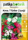 Kına (ımpatiens Balsamina) Çiçek Tohumu 30 Adet - 2