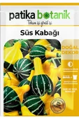 15 Adet Süs Kabağı Tohumu - 2