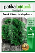 2500 Adet Frenk / Kıvırcık Maydanoz Tohumu - 2