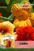 6 Adet Laden (Tropaeolum Majus) Çiçek Tohumu thumbnail 1