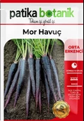 450 Adet Yerli Ata Mor Havuç Tohumu - 2
