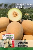 80 Adet Yerli Ata Ananas Kavun Tohumu - 1