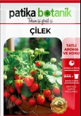 75 Adet Yerli Ata Sarmaşık Çilek Tohumu - 2