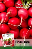 500 Adet Fındık Turp Tohumu 8682755106631GCL - 1