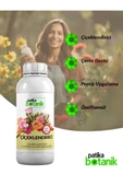 500 ML Çiçeklendirici- Süs Bitkileri İçin - Topraktan - 1