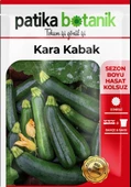 25 Adet Yerli Ata Siyah Kabak Tohumu (Kolsuz Kara Kabak) - 2