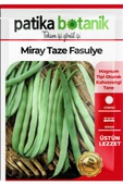 50 Adet Miray Fasulye Tohumu - 2