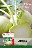200 Adet Alabaş Tohumu thumbnail 1