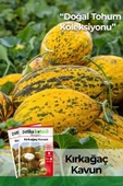 100 Adet Kırkağaç Kavun Tohumu - 1