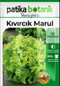 1500 Adet Yerli Ata Kıvırcık Marul Tohumu - 2