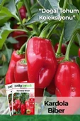 150 Adet Yerli Ata Kardola Biber Tohumu (Mini Kapya) thumbnail 1